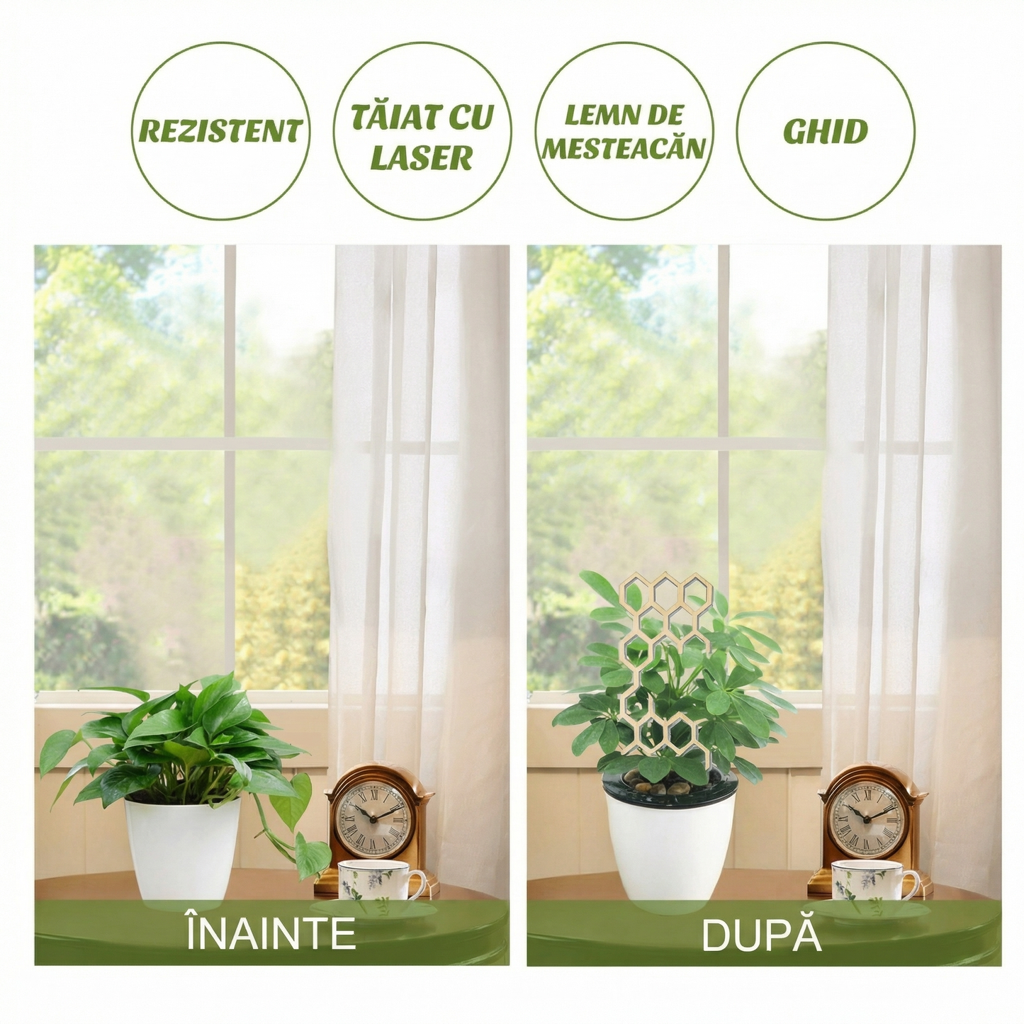 Suport din Lemn pentru Plante Cățărătoare