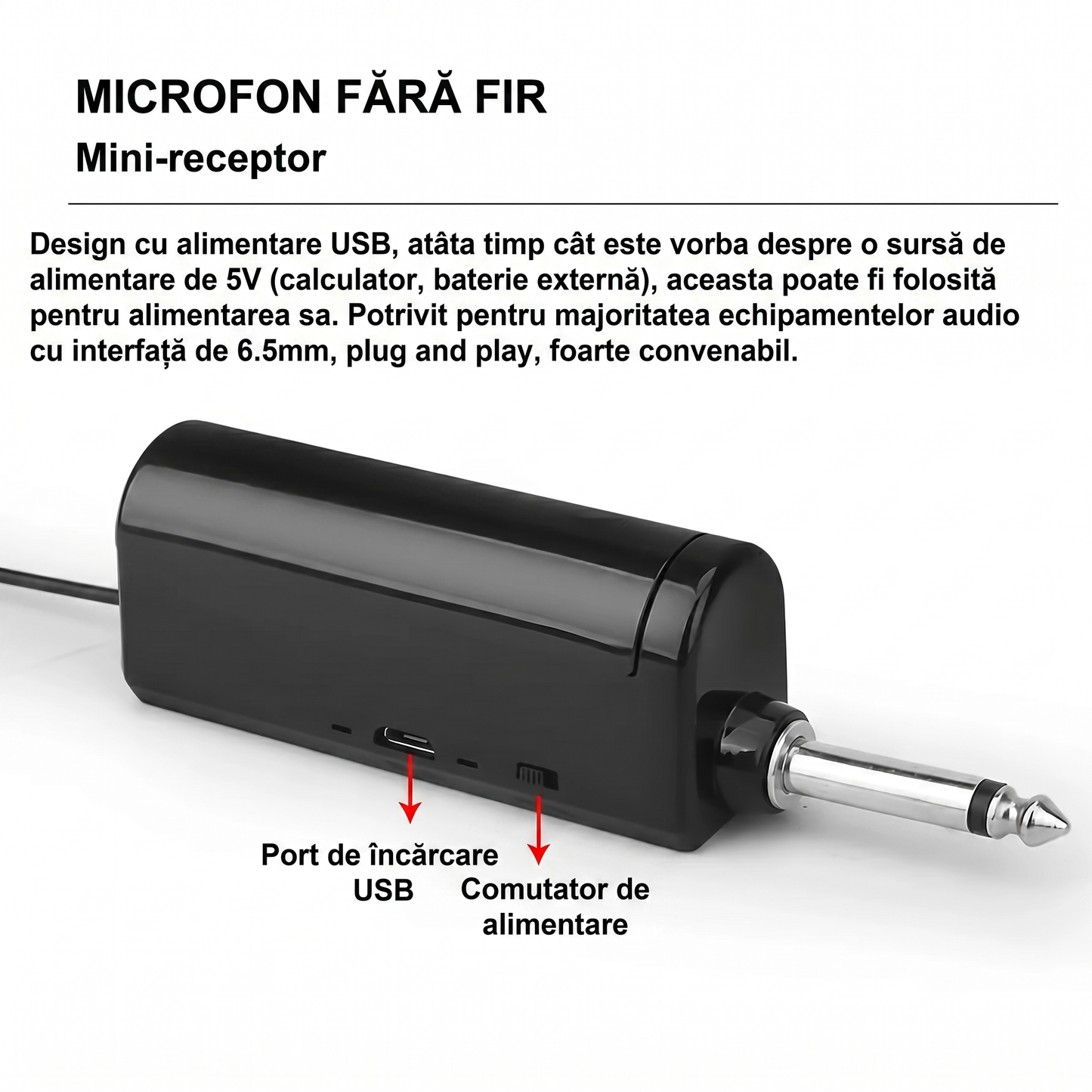 Set Microfoane Wireless Dinamice cu 2 Microfoane și Accesorii