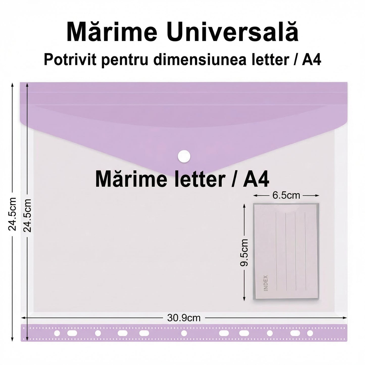 Set de 5 Dosare Plastice A4, 11 Găuri, Expandabile, Transparente