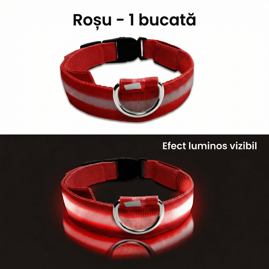 Zgardă pentru Câini cu LED, Roșie