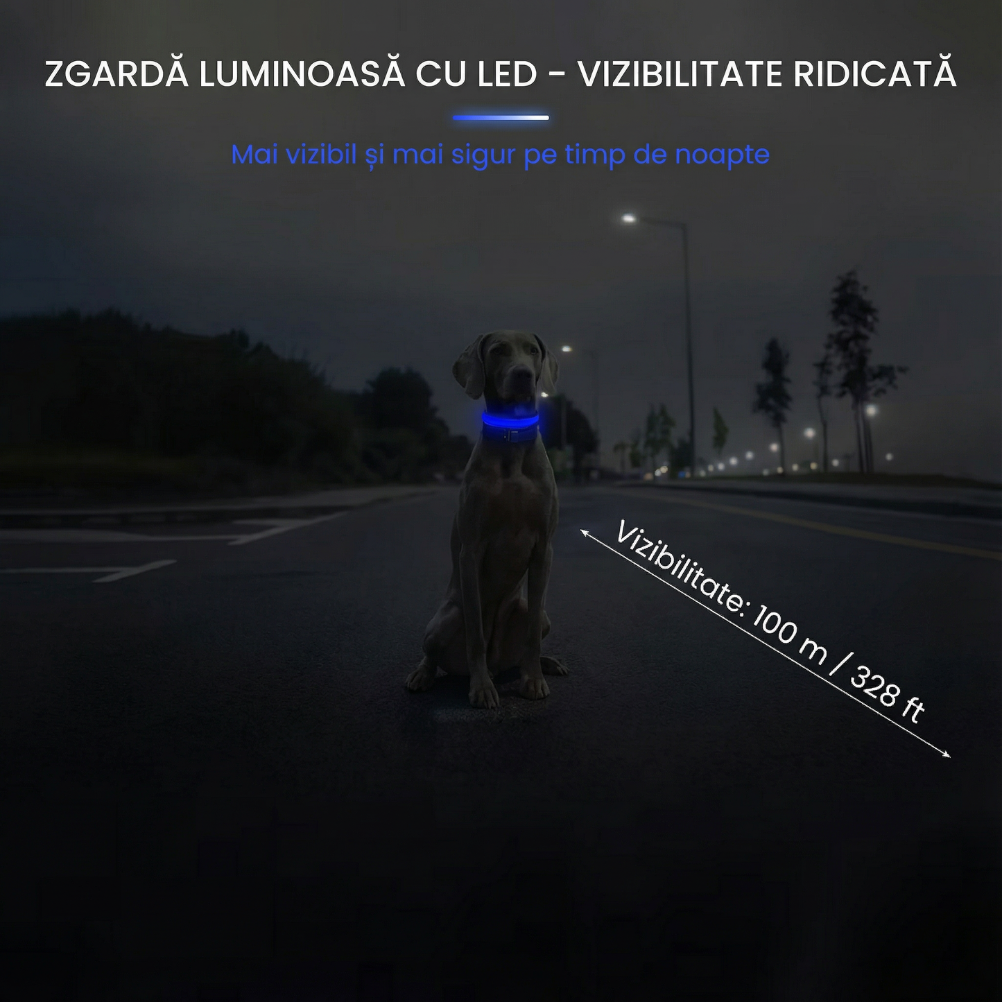 Zgardă pentru Câini cu LED, Albastră