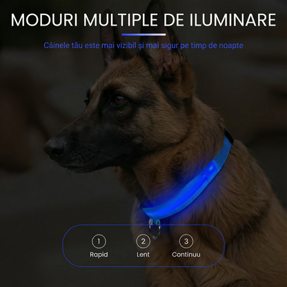Zgardă pentru Câini cu LED, Albastră