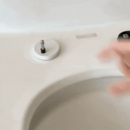 Accesoriu Bidet pentru Toaleta cu Duza Dubla Auto-Curatata