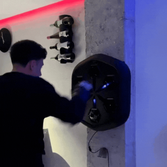 Aparat de Box pentru Antrenamente și Distracție Acasă cu Boxă Bluetooth