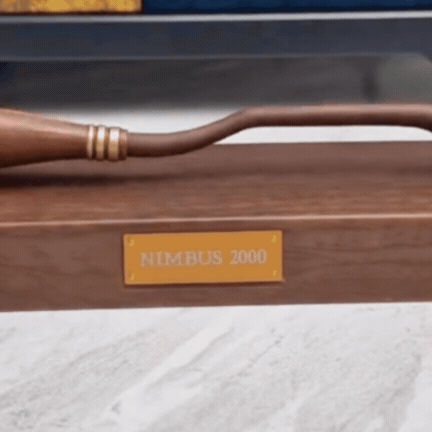 Nimbus 2000 Pix Magic Plutitor