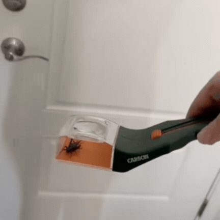 Capcană de Insecte pentru Prindere și Eliberare