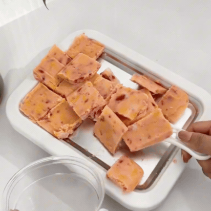 Tavă pentru Înghețată De Casă Cu Iaurt Sau Lapte Cu Două Spatule Incluse