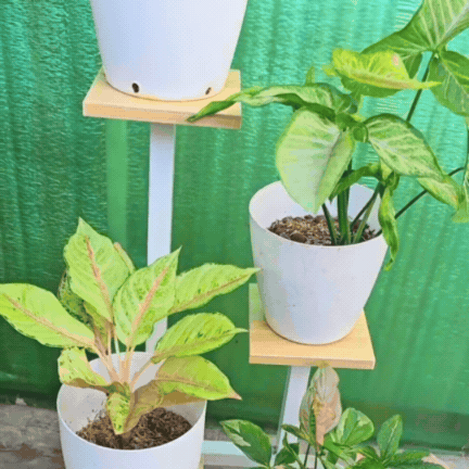 Suport de Plante cu 4 Nivele din Metal