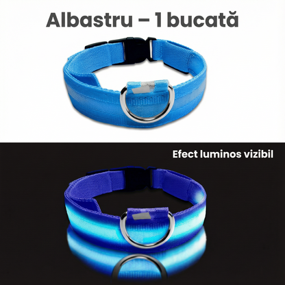 Zgardă pentru Câini cu LED, Albastră