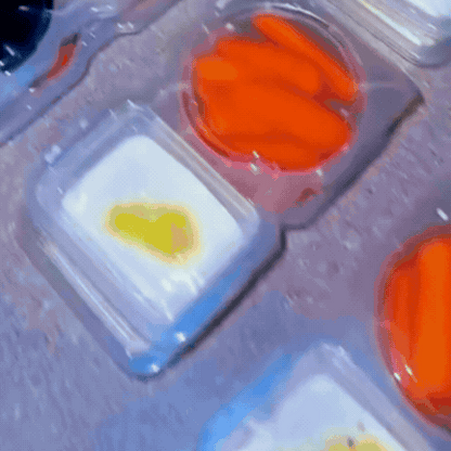 Set 20 Caserole Alimentare cu Capac, Compartimente Duble, BPA-Free
