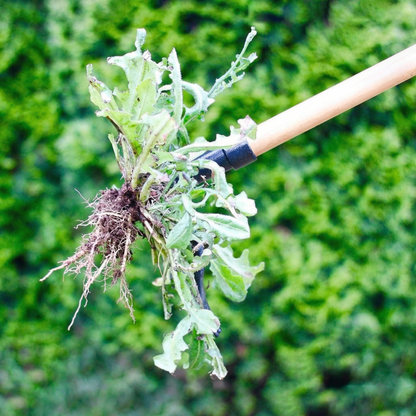 Extractor Buruieni și Plante din Metal