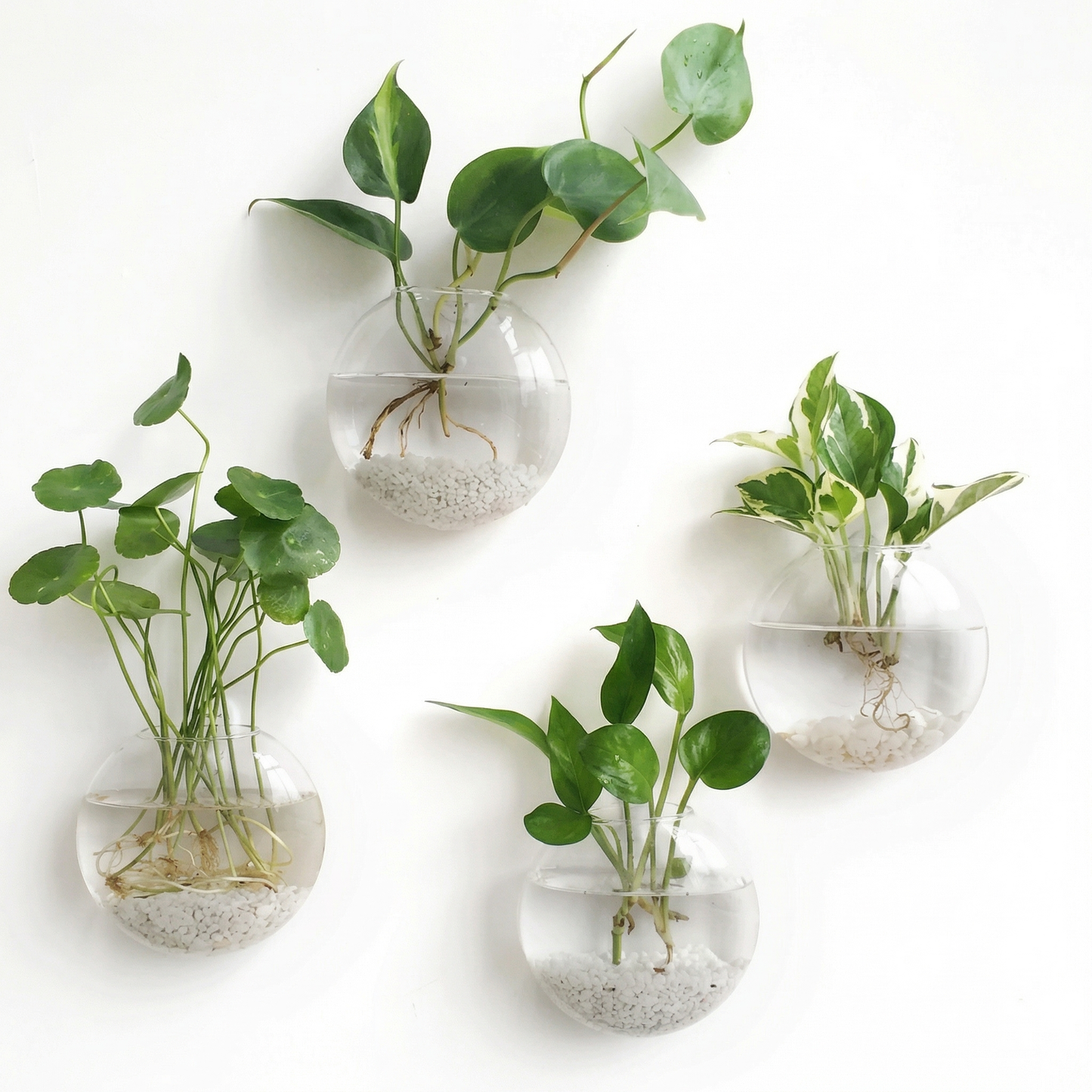 Set 4 Vaze de Perete pentru Plante Hidroponice