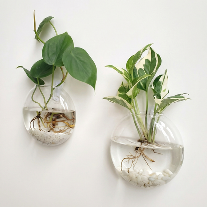 Set 4 Vaze de Perete pentru Plante Hidroponice