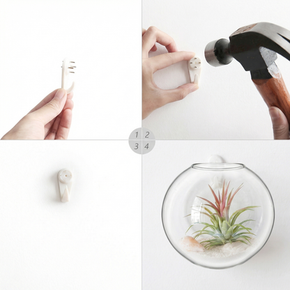Set 4 Vaze de Perete pentru Plante Hidroponice