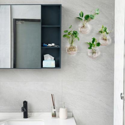 Set 4 Vaze de Perete pentru Plante Hidroponice
