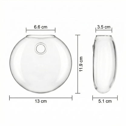 Set 4 Vaze de Perete pentru Plante Hidroponice