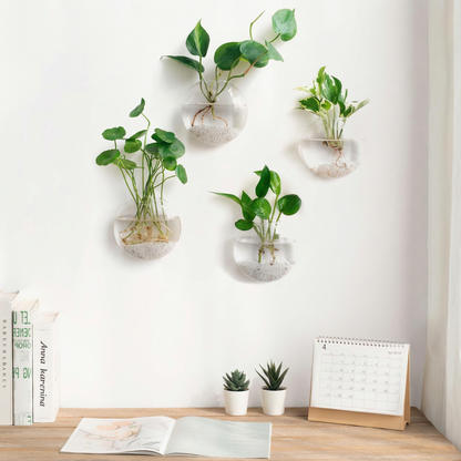 Set 4 Vaze de Perete pentru Plante Hidroponice