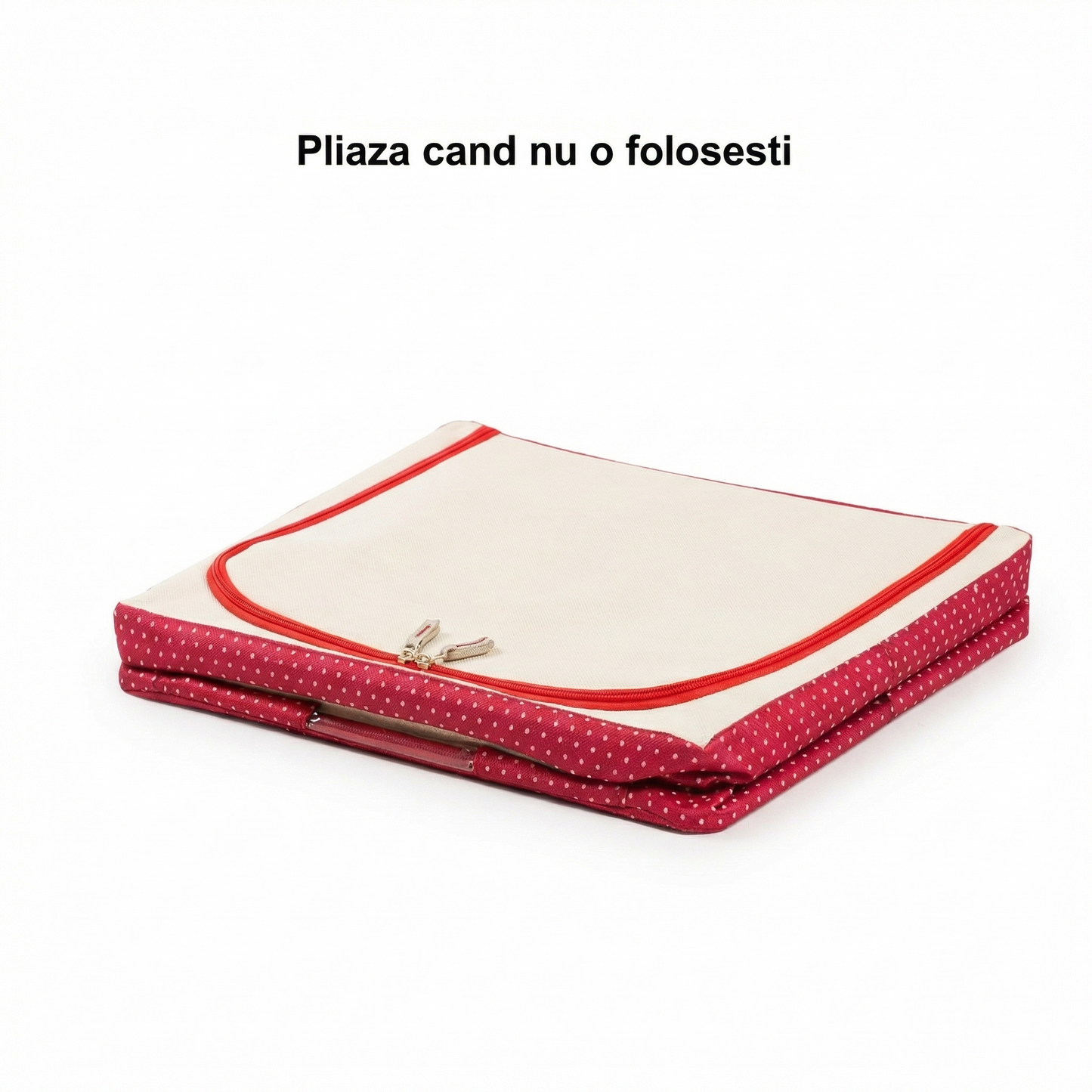 Cutie de Depozitare Pliabilă cu Fermoar 100 L