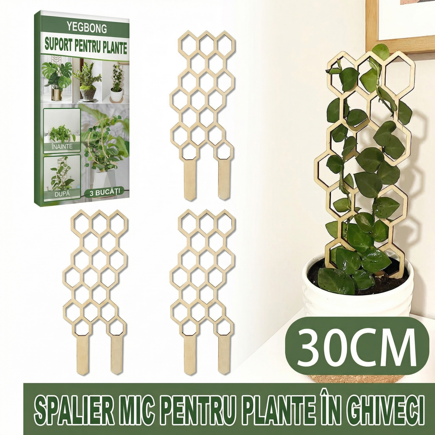 Suport din Lemn pentru Plante Cățărătoare