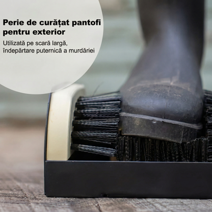 Perie de Curățat Încălțăminte din Lemn