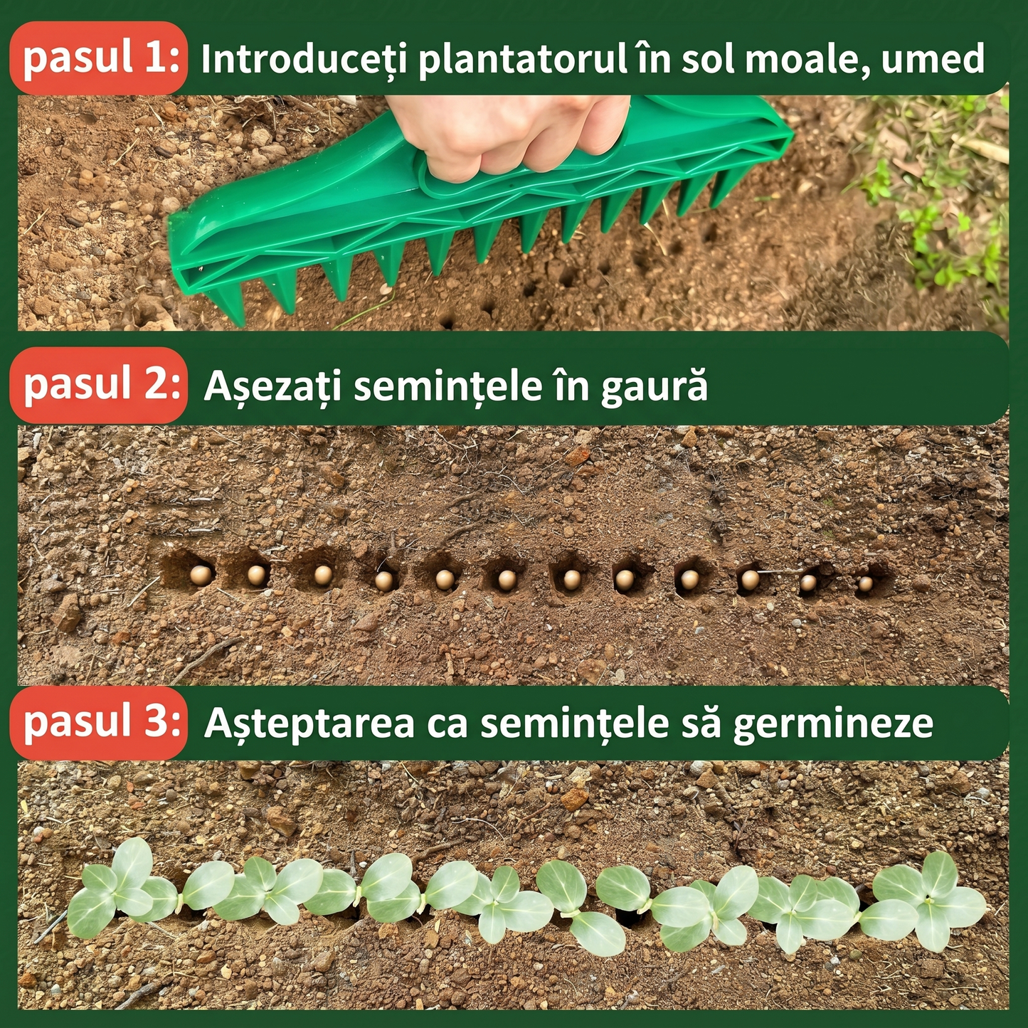Instrument pentru Distanțarea Semințelor – Placă cu 12 Orificii