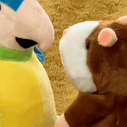 Pachet Promo Jucării Interactive Vorbitoare – Papagal + Hamster Cadou