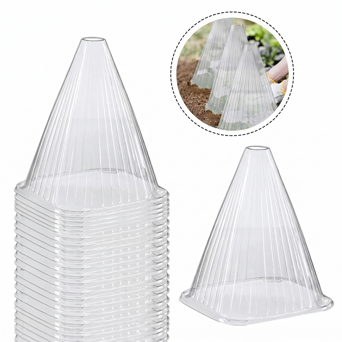 Set 10 Conuri Transparente pentru Protecția Plantelor din PET Reutilizabil