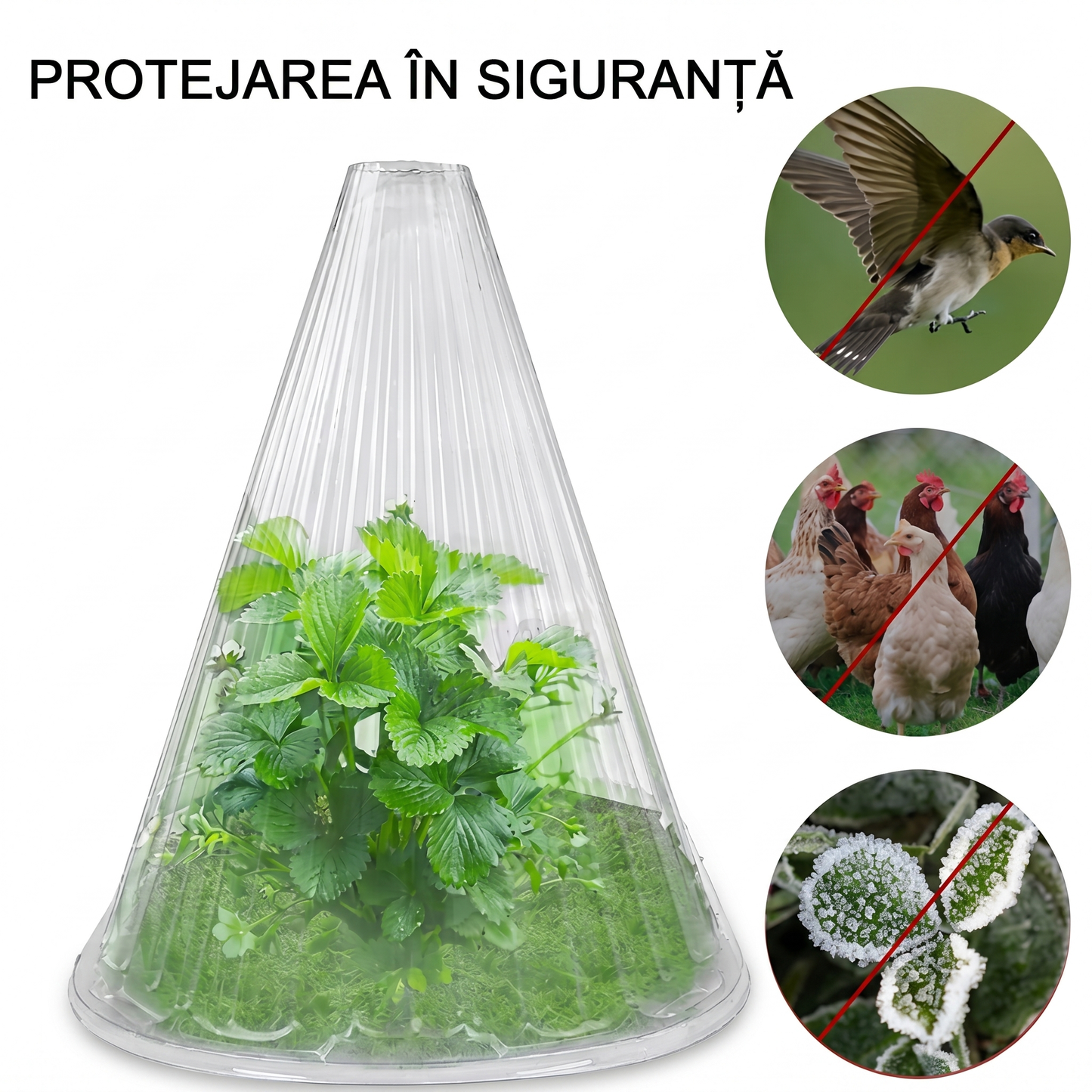 Set 10 Conuri Transparente pentru Protecția Plantelor din PET Reutilizabil