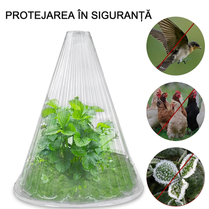 Set 10 Conuri Transparente pentru Protecția Plantelor din PET Reutilizabil