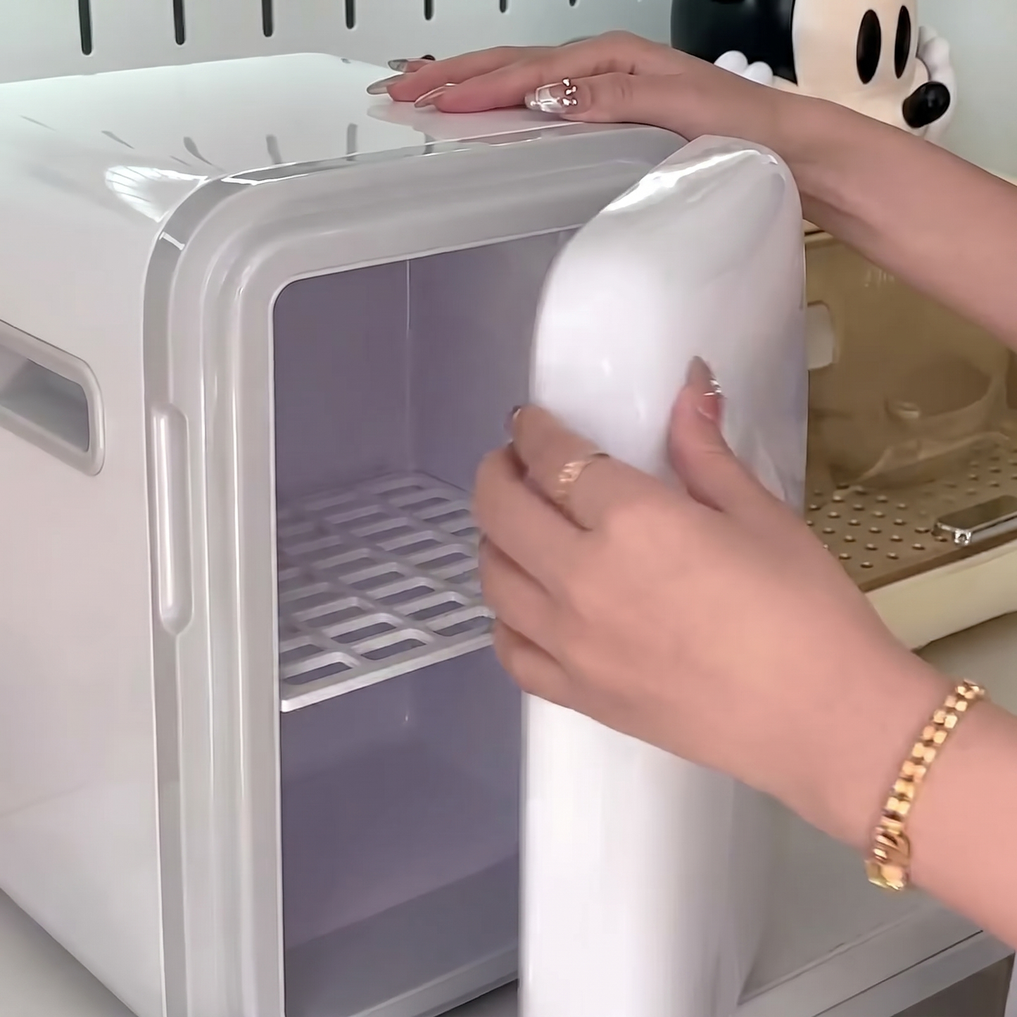 Frigider Mini Portabil