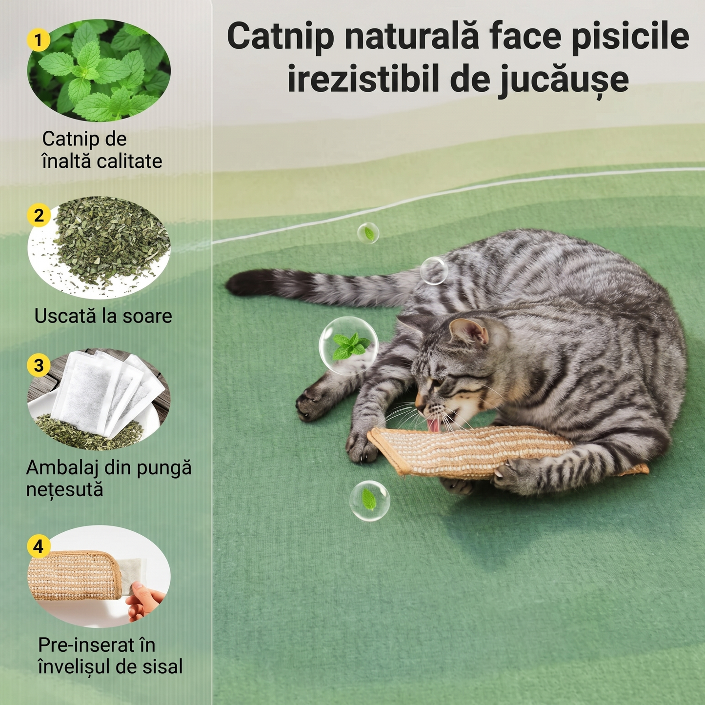 Jucărie de Mestecat și Zgâriat