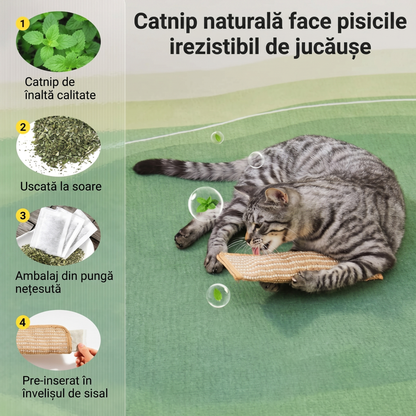 Jucărie de Mestecat și Zgâriat