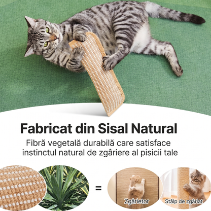Jucărie de Mestecat și Zgâriat