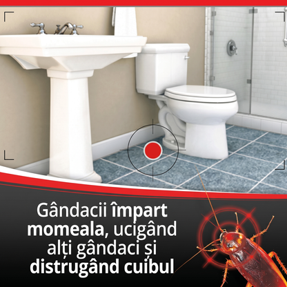 Capcane pentru Gândaci