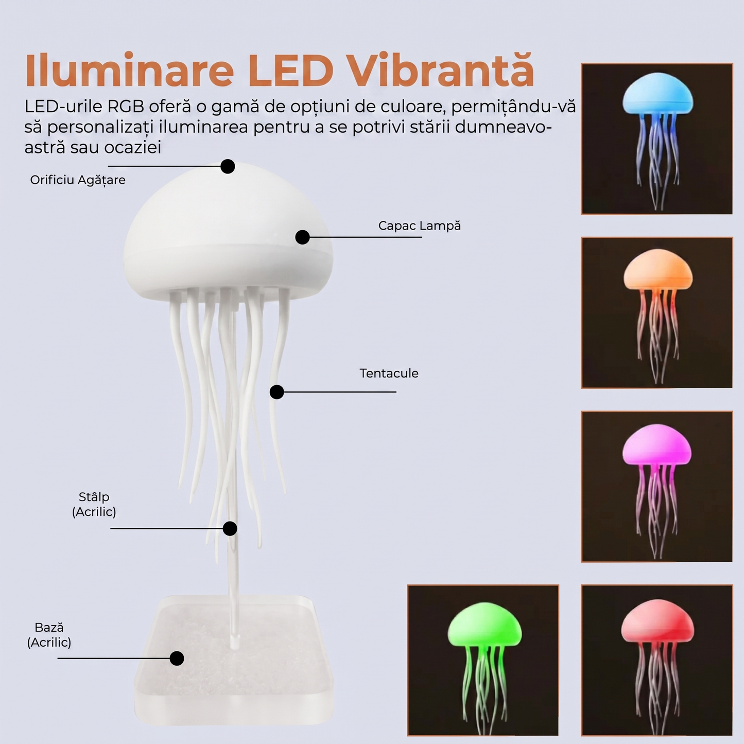 Lampă Meduză de Veghe