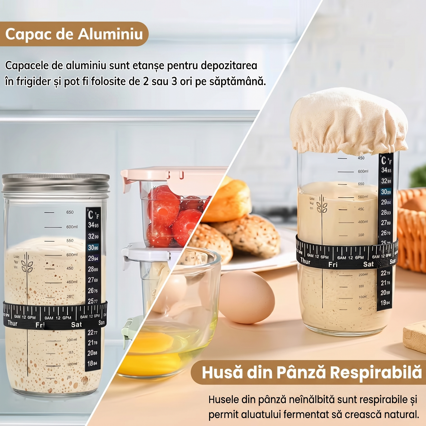 Set de Borcane de Fermentare din Sticlă