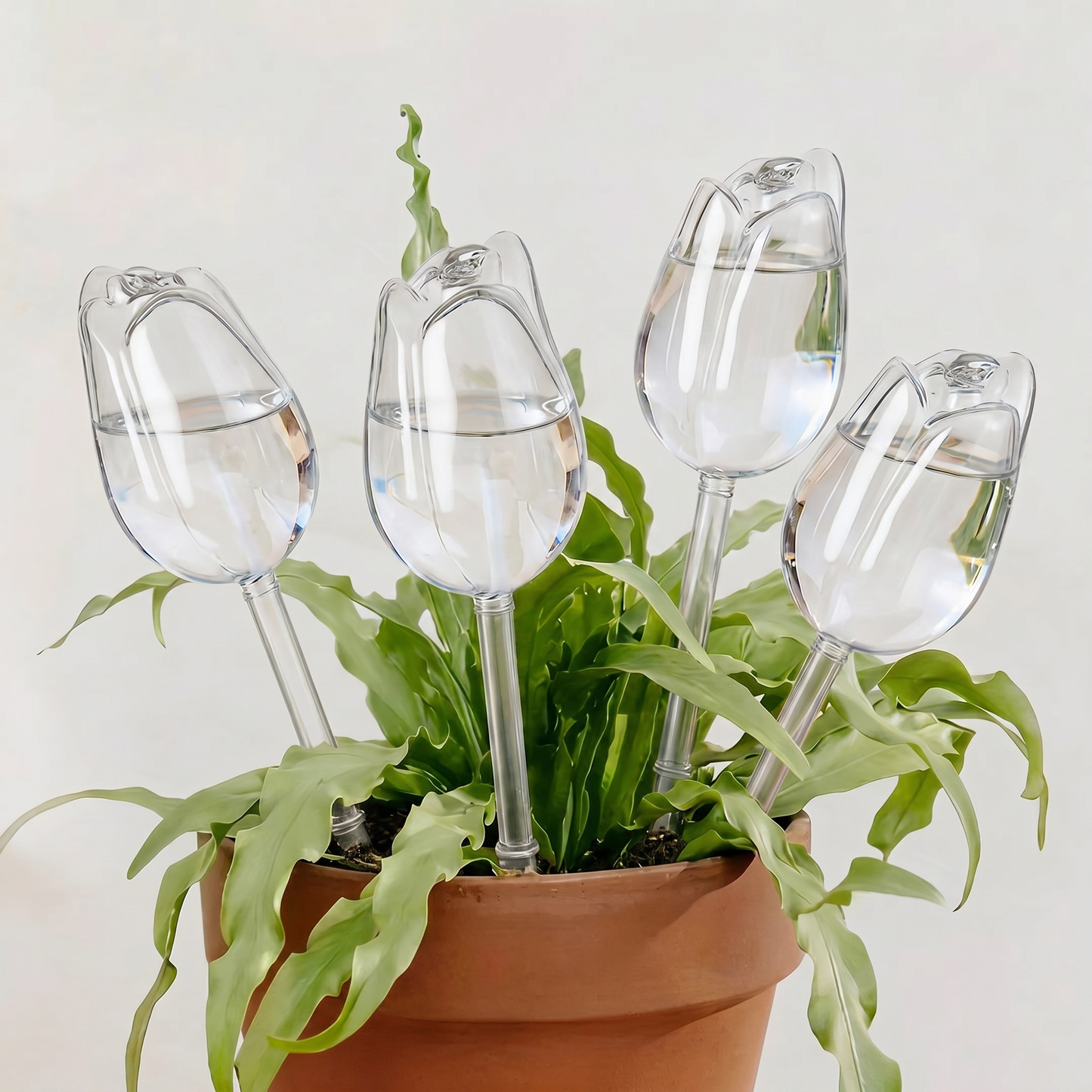 Globuri de Udare Lalea pentru Plante