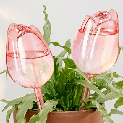 Globuri de Udare Lalea pentru Plante