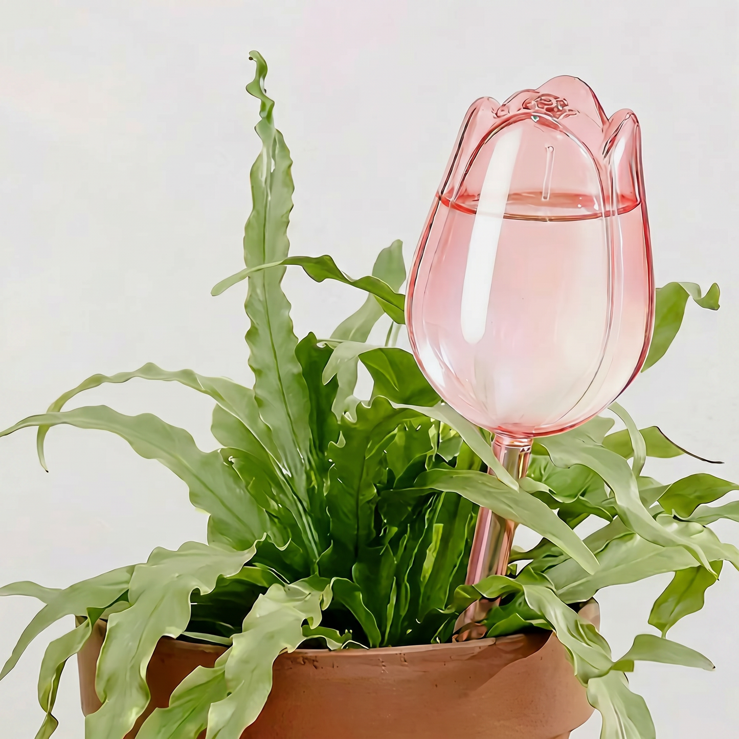 Globuri de Udare Lalea pentru Plante
