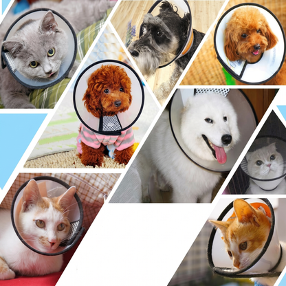 Guler Veterinar pentru Animalele de Companie