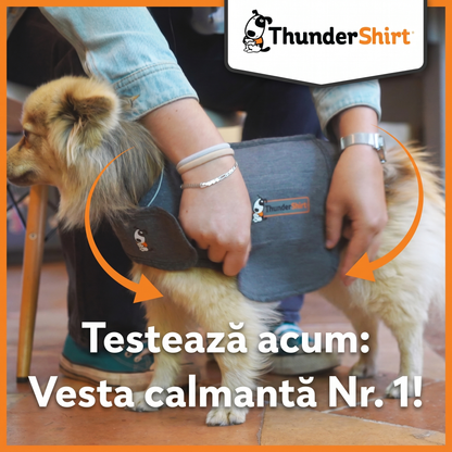 Vestă Calmantă pentru Căței