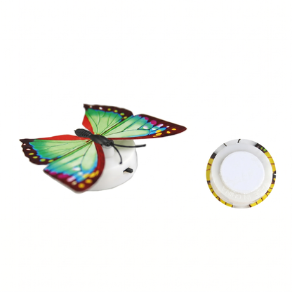 Set Fluturi Cu Lumini LED
