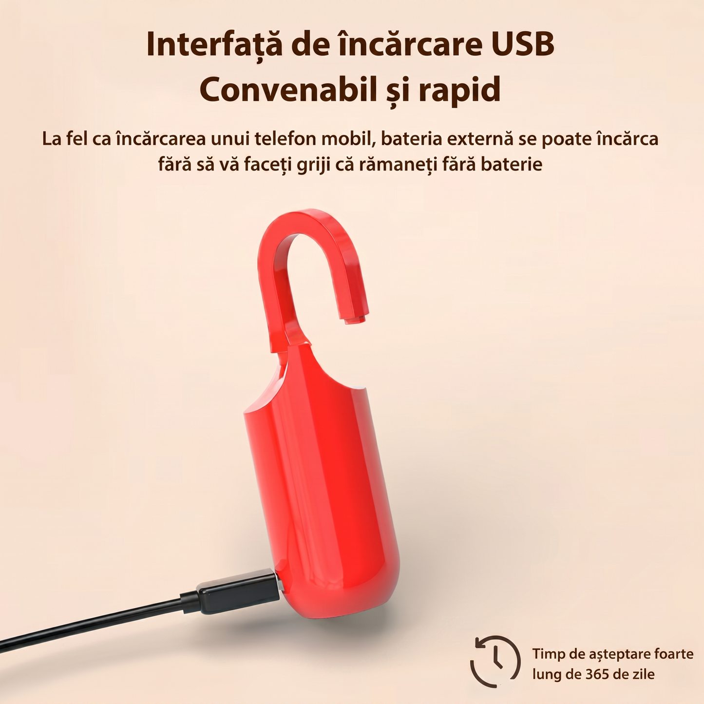Încuietoare Inteligentă