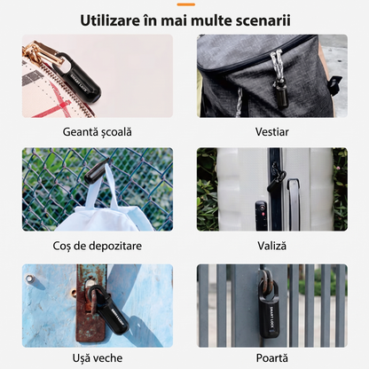Încuietoare Inteligentă