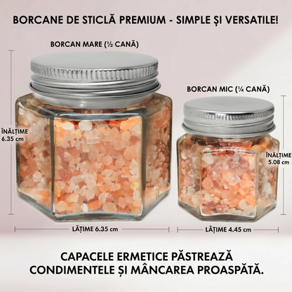 Set Mini Borcane Magnetice pentru Condimente