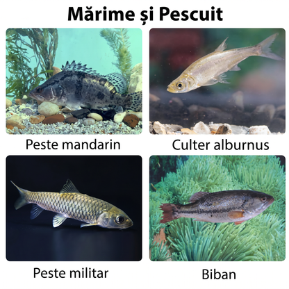Set de Năluci pentru Pescuit