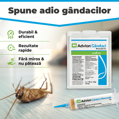 Set Seringi Soluție Gel Anti Gândaci