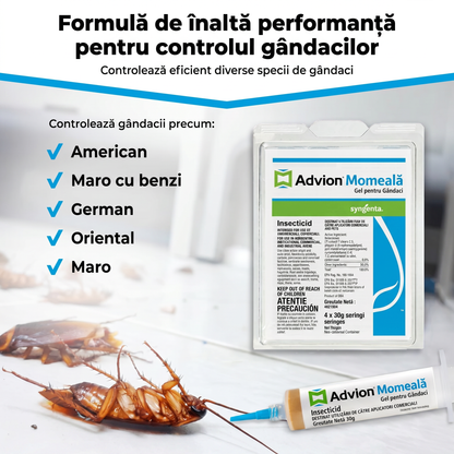 Set Seringi Soluție Gel Anti Gândaci