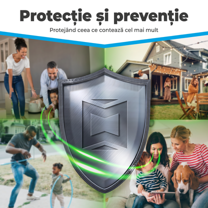 Set Seringi Soluție Gel Anti Gândaci