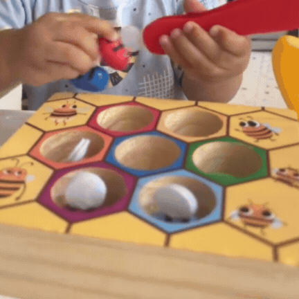 Joc de Tip Montessori pentru Asociere si Dexteritate pentru 3 ani